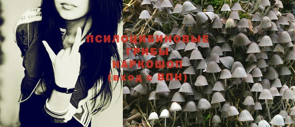 не бодяженный Пересвет
