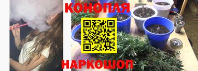 шишки Апрелевка