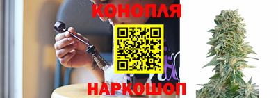 прущие грибы Аргун