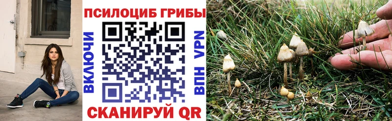 кракен ONION  Великие Луки  Галлюциногенные грибы Psilocybine cubensis 