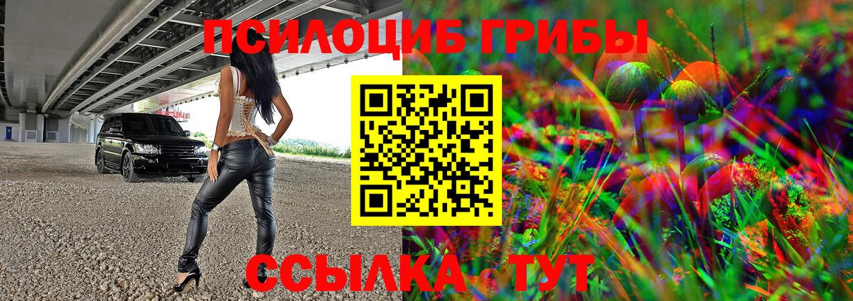 наркошоп  Великие Луки  Галлюциногенные грибы Psilocybine cubensis 
