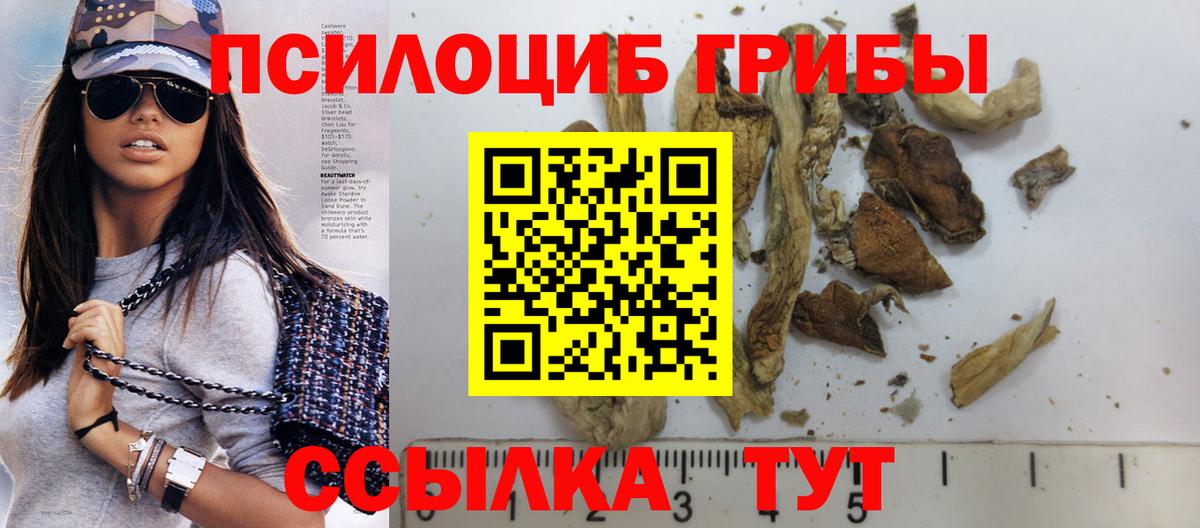 Псилоцибиновые грибы GOLDEN TEACHER Великие Луки