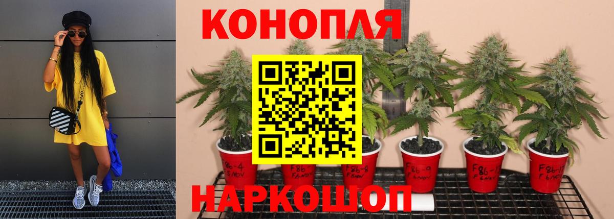 Конопля индика  Каннабис White Widow  МАРИХУАНА гибрид  Великие Луки 